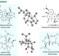 Exploring and expanding the natural chemical space of ...