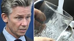 Arbetsförmedlingen: Vårt hopp står till nyanlända