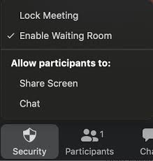 Protect your Zoom meeting space and class sessions | IT Connect