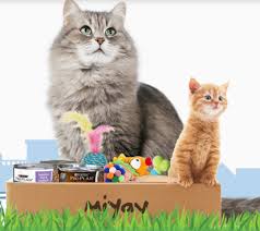 Kedilerin Konserve Oyuncak Ve Surpriz Dolu Aylik Miyav Kutusu 59 Tl Den Baslayan Fiyatlarla En Az 1 Konserve En Az 1 Oyuncak Her Kutuda En Az In 2020 Cats Animals
