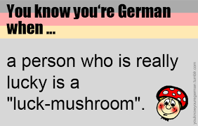 You Know You Re German When German Humor German Jokes You Know Your German When