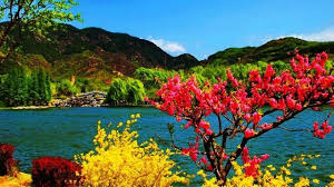 Maybe you would like to learn more about one of these? India Tour 2 Dwell In The Valleys Of Ever Changing Srinagar The Most Beautiful Place On Earth Steemit