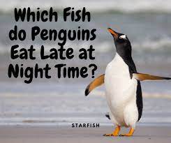 10 Fun Penquin Jokes I Love Penguins Cheesy Jokes Corny Jokes Jokes