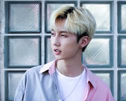 Mont Roda Kpop Groups Vietnam Group Kpop