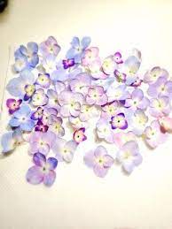 押し花失敗レポート 押し花 シュリンクプラスチック製の宝石類 ハンドメイド