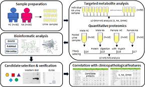 Association Of Urinary Ketamine And Apoa1 Levels With Bladder Dysfunction In Ketamine Abusers Revealed Via Proteomics And Targeted Metabolite Analyses Scientific Reports