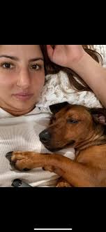 Anyone know who this is? We weren't home just wondering what we could do  for you.