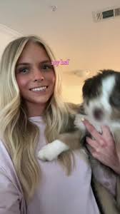 Cute Mini Australian Shepherd Outfit Inspiration