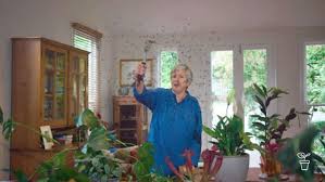 How to get rid of midges. Unwelcome Guests Fact Sheets Gardening Australia Gardening Australia