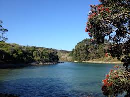 An architect and interior designer's surprising shipping container getaway