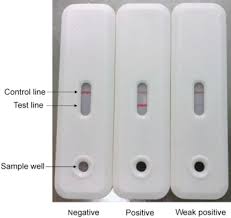For example, negative, positive, inconclusive or void. A Highly Specific Rapid Antigen Detection Assay For On Site Diagnosis Of Mers Journal Of Infection