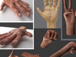 Rigged Hands Free 3d Model Model 3d Model Free
