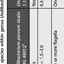 Pdf The Family Oxalobacteraceae