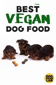 Best Vegan Dog Food Vegan Dog Vegan Dog Food Dog Food Recipes