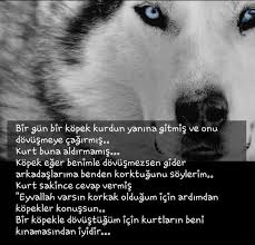 aylin ayyildiz adli kullanicinin hayran oldugum sozler panosundaki pin puma arkadaslar