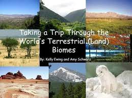 taking a trip through the world s terrestrial land biomes biomes forest habitat habitats