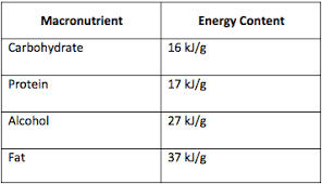 energy kilojoules healthy kids