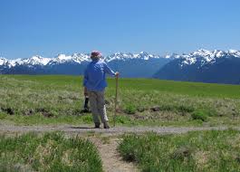 Kid friendly hikes near seattle. Top 10 Day Hikes On The Olympic Peninsula The Olympic Peninsula