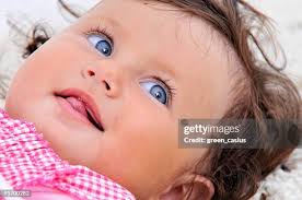 74 Casius Stock Photos, High-Res Pictures, and Images