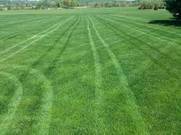 The lawn care nut, allyn hane featuring diy lawn care info, lawn plans, fertilizer & soil optimization, grass plugs, specialized turf programs and more at amazing prices now! Usa Lawn Care Nut Usalcn Twitter