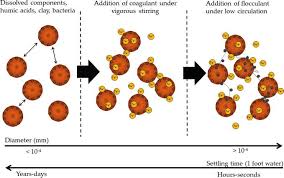 The primary purpose of the coagulation and flocculation is to destabilize the charged colloidal particles in water and make them to settle so as to remove turbidity from the water. Sewage Polluted Water Treatment Via Chitosan A Review Articles Fstdesk