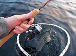 Best Ultralight Spinning Rod 2019 2020 Top Rods For Light Lines Tacklexpert