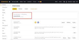 How To Check Balance And Transfer Funds On Wallet Overview Wallet Overview
