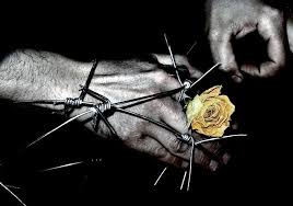 چه عکسای خجل مجلی!! 1