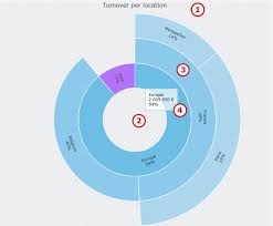 sunburst chart pc soft on line documentation