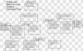 Plant cellular respiration process diagram. Cellular Respiration Chemistry Concept Flowchart Diagram Biology Chart Transparent Png