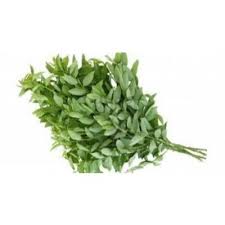 Sauropus androgynus, katuk, manis daun, cekur manis, sayur manis, madhura cheera, manis daun semak, manis daun buah, daun, buah, manis, segar, hijau, alam, sehat, tanaman, vitamin, makanan, organik, lezat, outdoors, kesegaran, gaya hidup, diet, gizi, vegetarian, diet hijau, hijau gizi, fotos Purchase Wholesale Pucuk Manis Sold By Kg From Trusted Suppliers In Malaysia Dropee Com