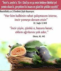 incir mucizesi 1 incir tin suresi meal yemin olsun incire ve zeytine 1 sina dagina 2 ve su guvenli sehre 3 incir recete saglik