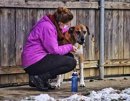 Or looking for something different? Butler County Animal Shelters Already Seeing More Give Backs Work To Avoid Post Holiday Returns
