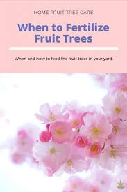 Watch the 2 minute video below for a great guide on how to use espoma fruit tree fertilizer. When To Fertilize Fruit Trees In 2020 Fruit Trees Tree Care Spring Tree