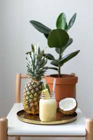 Drink Rezept Alkoholfreier Pina Colada Mit Vanille Vegan Ohne Sahne In 2020 Pina Colada Alkoholfrei Alkohol