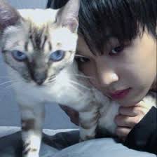 When you use a browser like chrome it saves some information from websites in its cache and cookies. 130 Ide Lucu Bgt Nangis Phantom Of The Opera Kutipan Olahraga Orang Lucu