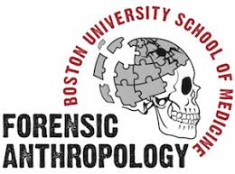How to become a forensic anthropologist. Ms In Forensic Anthropology Graduate Medical Sciences
