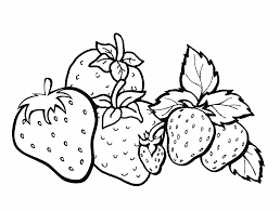 Maybe you would like to learn more about one of these? Gambar Sketsa Buah Radea