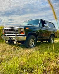 Image result for Dark Cocoa 1981 Bronco