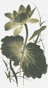 Di dunia ini terdapat berbagai macam jenis bunga dari berbagai wilayah yang memiliki keindahan berbeda beda. Tinta Mencuci Lukisan Lukisan Cina Lukisan Nelumbo Nucifera Burung Dan Bunga Bunga Lotus Tinta Lotus Bahan Taobao Tinta Batang Tanaman Png Pngegg