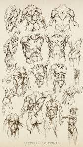 To draw the human torso, understand the shape of the torso, and learn the major muscle groups in this tutorial on drawing the torso then, we will do just that, we will first look at the overall shape of the. I Pinimg Com Originals Ce D4 18 Ced41829f0ab9fa