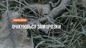 Попередження про заморозки