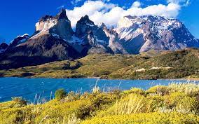Pflanzen und bäume, flora und fauna. Chile Klima Wetter Landschaft Vegetation Tiere