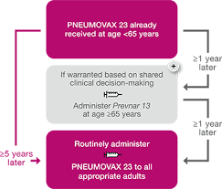 Aims to share millions of astrazeneca vaccine doses after review Pneumococcal Vaccine For Ages 65 Cdc Recommendations