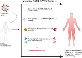 Image result for Autoimmunity