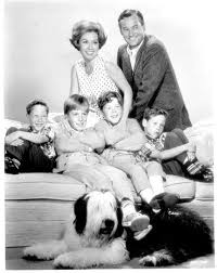 60 S Black And White Tv Shows Please Don T Eat The Daisies Online Classic Television Old Tv Shows Great Tv Shows