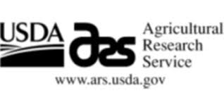 400 years ago, lau exiled himself from earth after he failed to defeat his former friend rei, who became half demon and started taking over the world. 29qkch Imgexom
