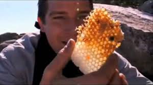 This opens in a new window. Cunoscutul Prezentator Bear Grylls La Un Pas De Moarte DupÄ Ce A Fost InÈepat De O AlbinÄ Jurnal Md