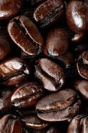Roasting coffee beans gives them the the choice of dark roast vs. Medium Dark Roast Kona Coffee Beans Close Up Holualoa Island Of Hawaii Hawaii United States Of America Stock Photo Dissolve
