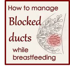 They may suggest that you start having mammograms at an earlier age. Breastfeeding Problems Archives Page 2 Of 3 Love And Breast Milk